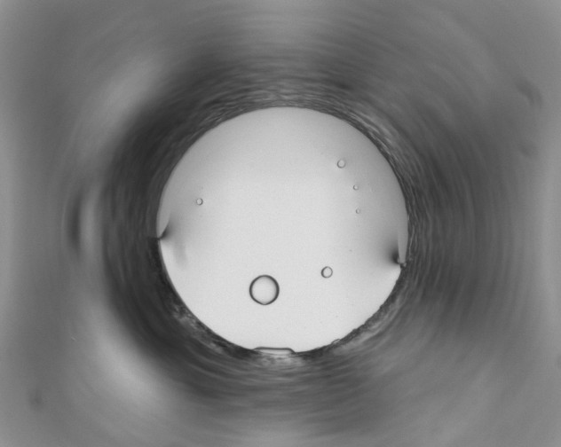 X0000110700429200907241129