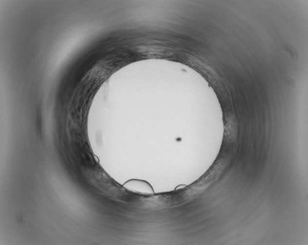 X0000110700430200907241129