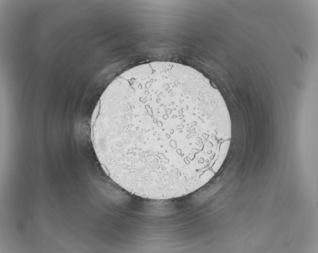 X0000110700432200907241129