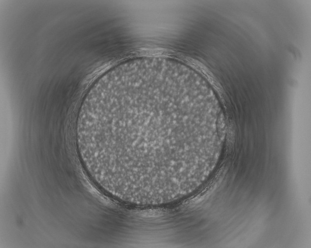 X0000110700433200907241128