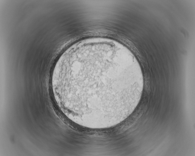 X0000110700434200907241128