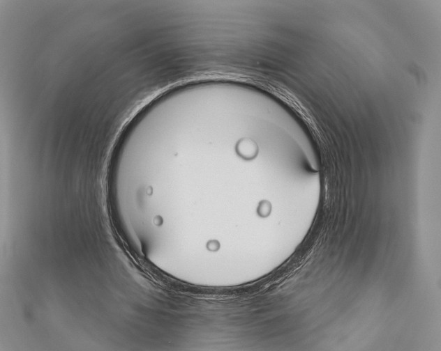 X0000110700436200907241128