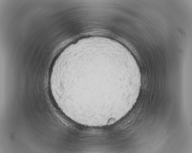 X0000110700437200907241128