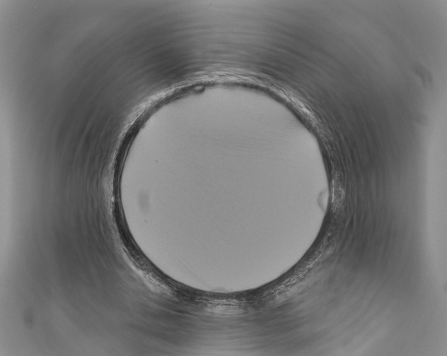 X0000110700438200907241128