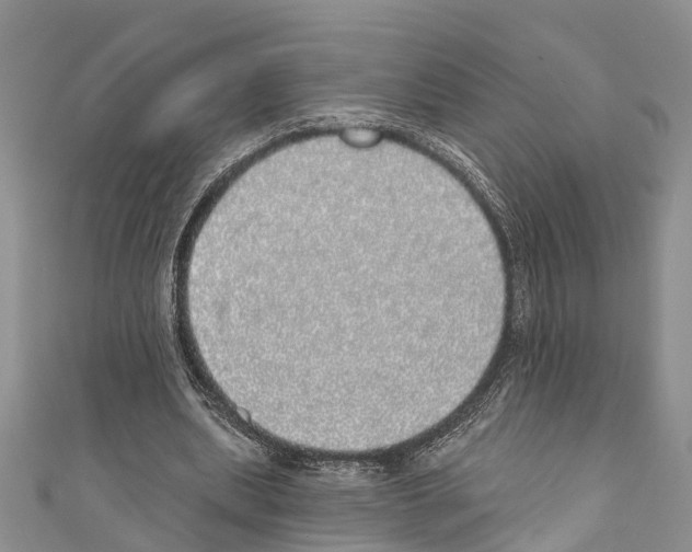 X0000110700439200907241128