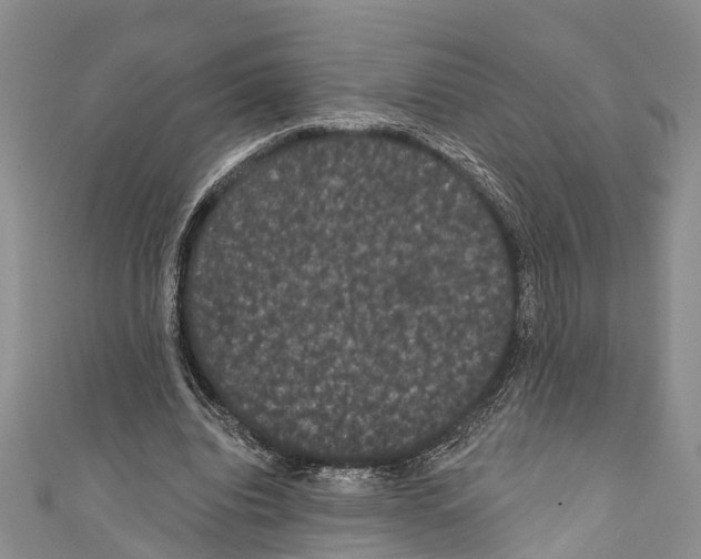 X0000110700440200907241128