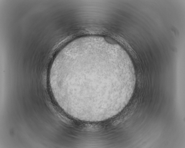 X0000110700442200907241128