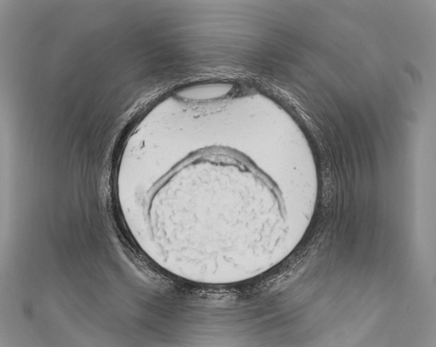 X0000110700443200907241128