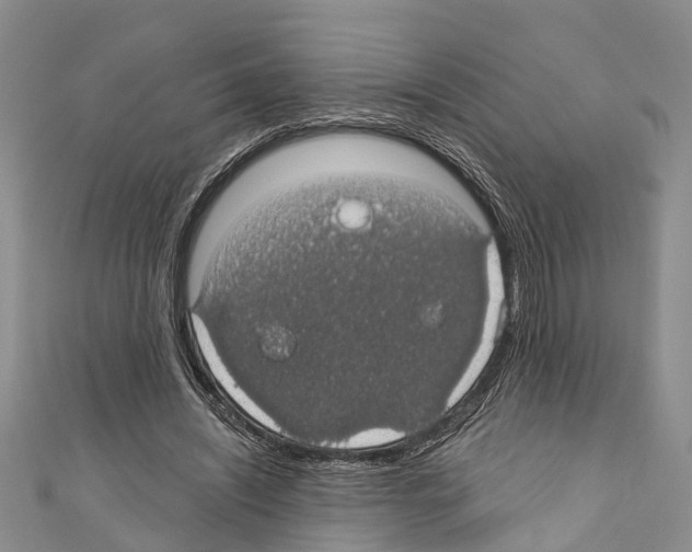 X0000110700444200907241128