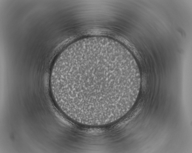 X0000110700445200907241128