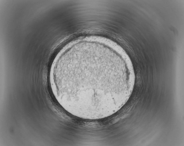 X0000110700446200907241128