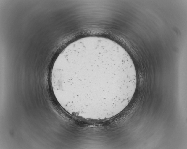 X0000110700447200907241128