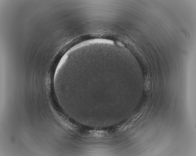 X0000110700448200907241128
