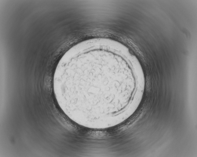 X0000110700449200907241128