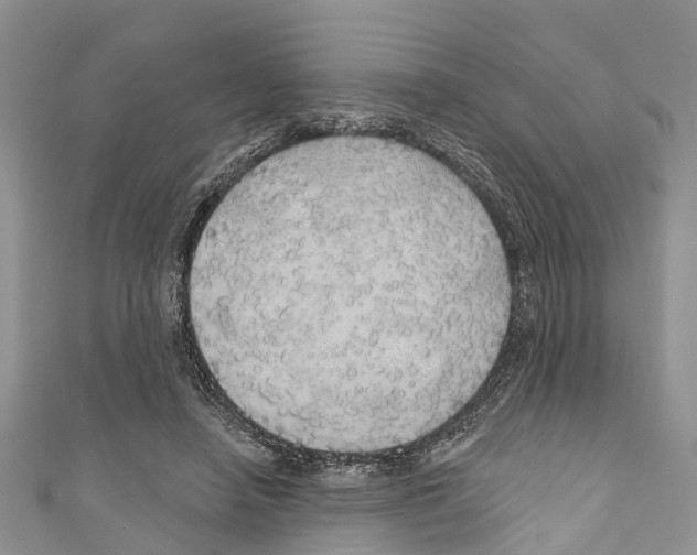 X0000110700450200907241128
