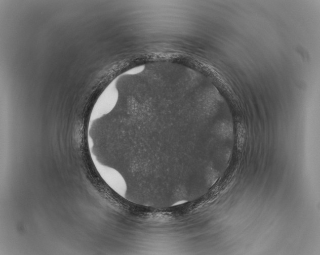 X0000110700451200907241128