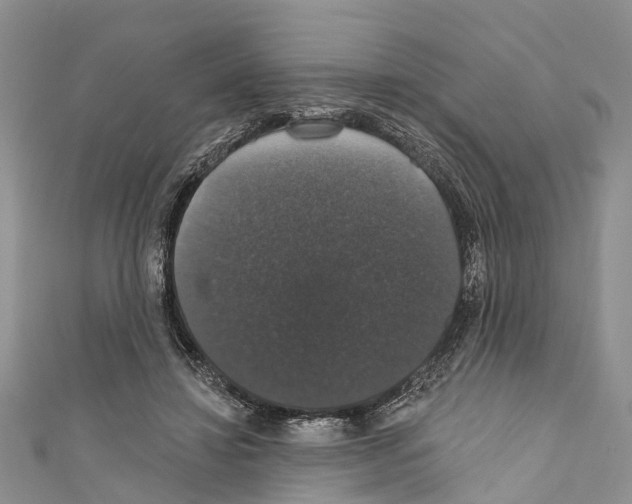 X0000110700452200907241128