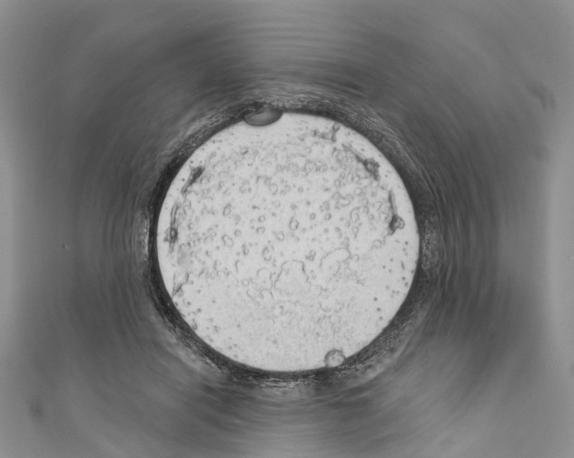 X0000110700454200907241128