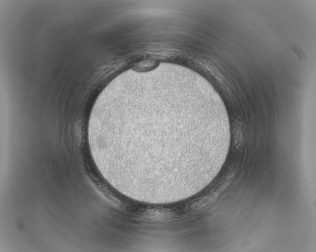 X0000110700455200907241128