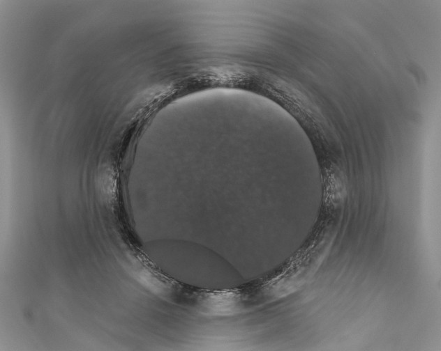 X0000110700456200907241128