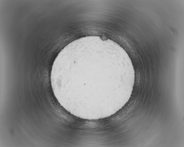 X0000110700457200907241128