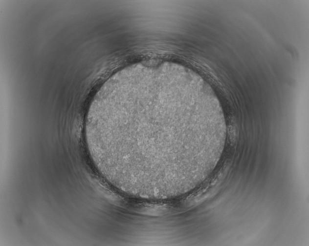 X0000110700458200907241128