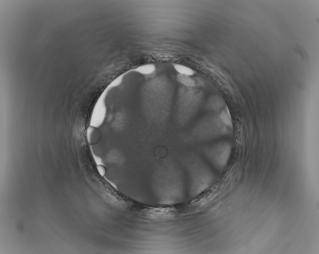 X0000110700465200907241128