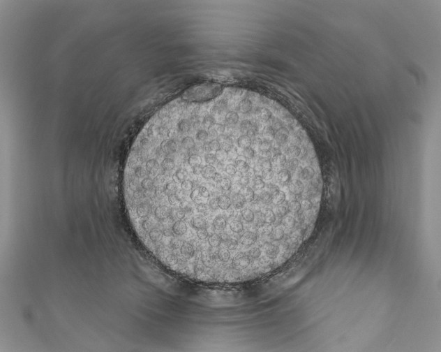 X0000110700466200907241128