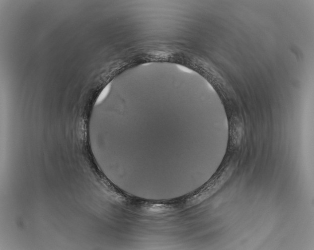 X0000110700467200907241128