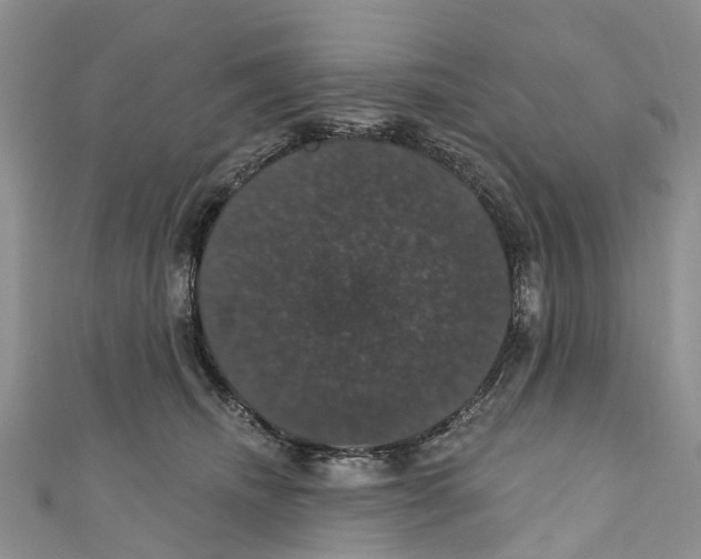 X0000110700468200907241128