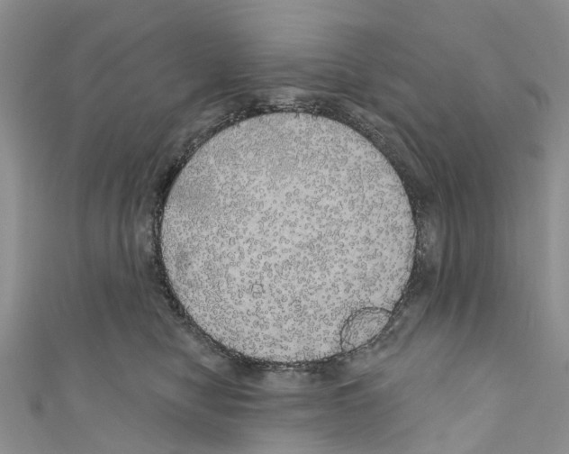 X0000110700470200907241128