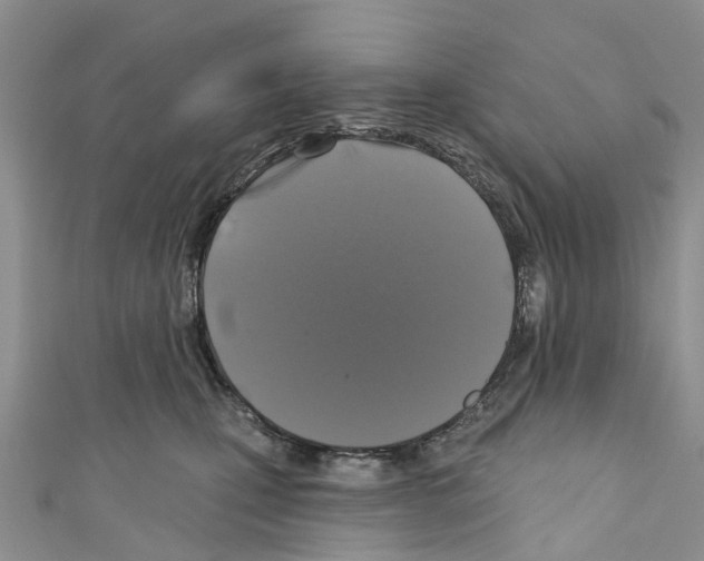 X0000110700471200907241128
