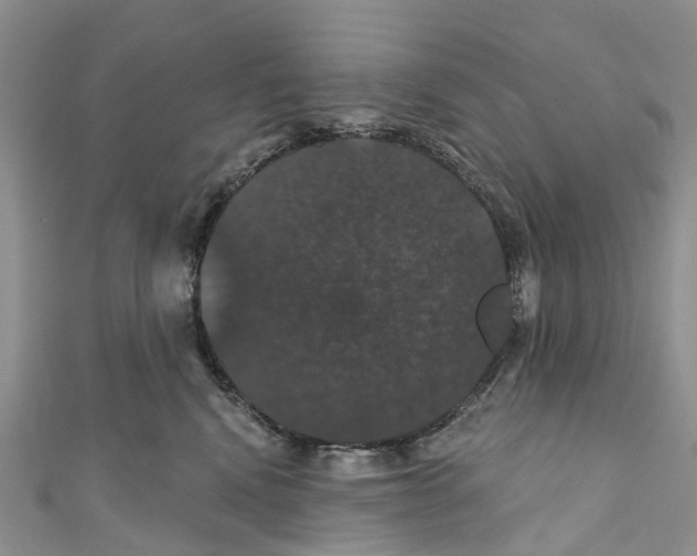 X0000110700472200907241128