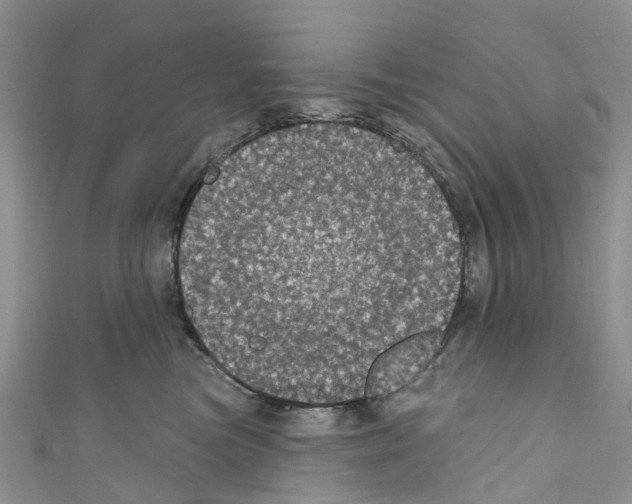 X0000110700473200907241128