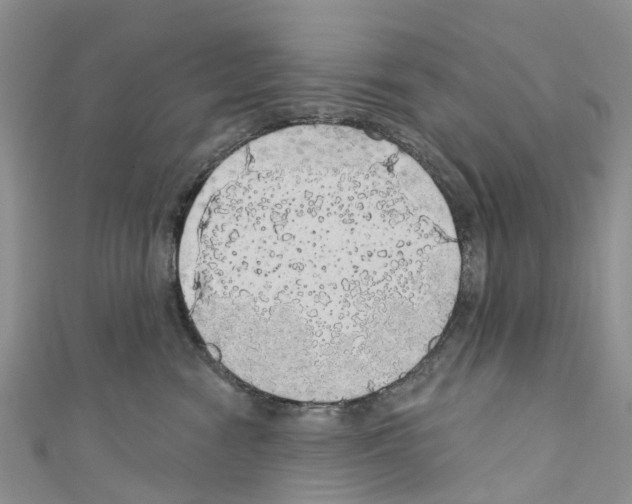 X0000110700474200907241128