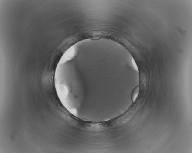 X0000110700475200907241128