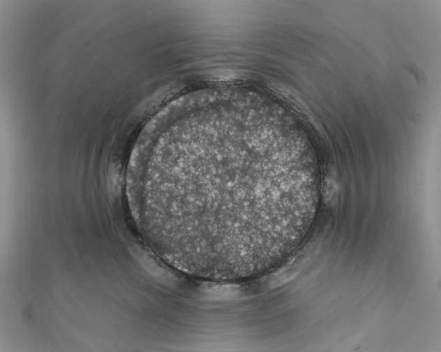 X0000110700476200907241128
