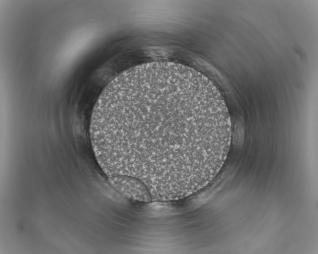 X0000110700477200907241128