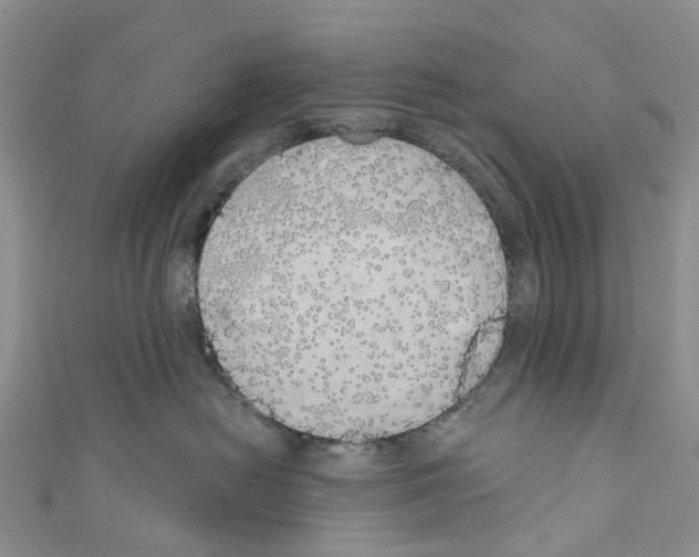 X0000110700478200907241128
