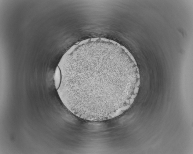 X0000110700480200907241129