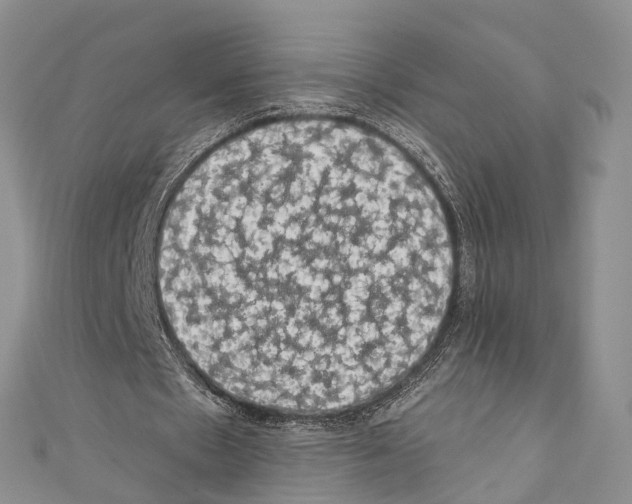 X0000110700481200907241128