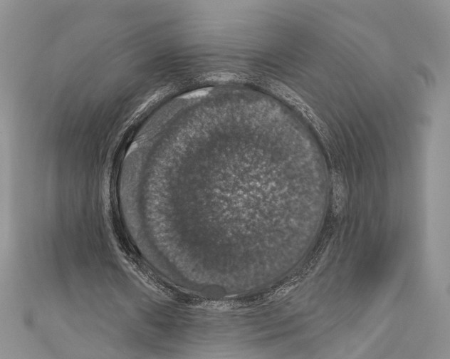 X0000110700482200907241128