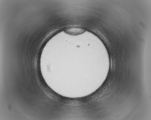 X0000110700483200907241128
