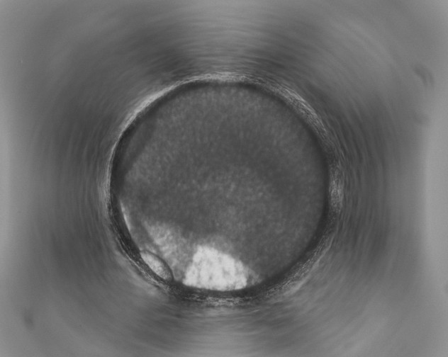 X0000110700484200907241128