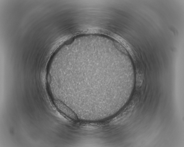 X0000110700485200907241128