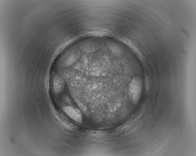 X0000110700486200907241128