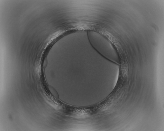 X0000110700488200907241128