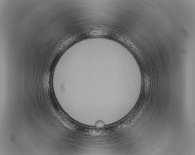 X0000110700490200907241128