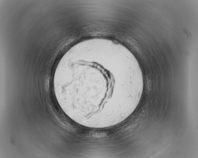 X0000110700491200907241128