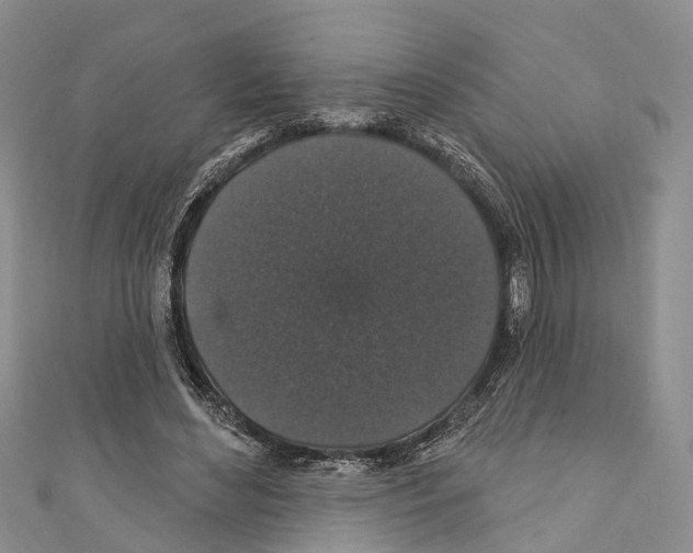 X0000110700492200907241128
